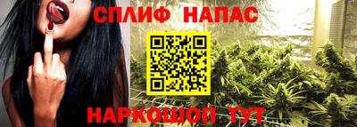 гидропоника Тара