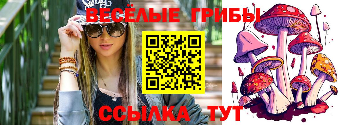 Галлюциногенные грибы GOLDEN TEACHER Краснокаменск